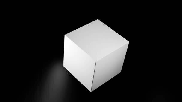 What should you know about white-box cryptography