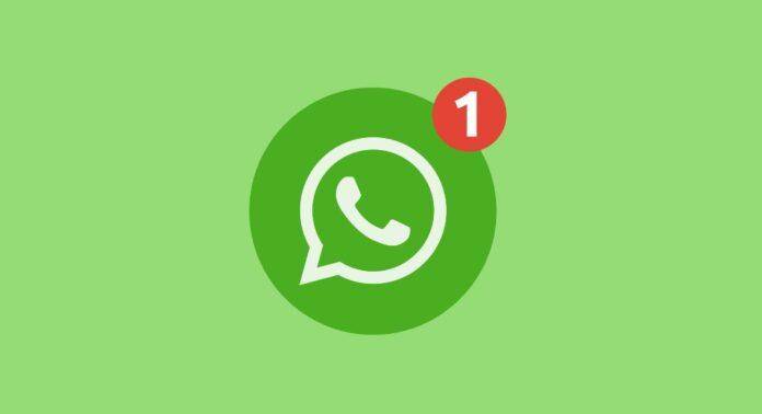 Whatsapp Androidlawler Theverge